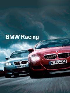 game pic for BMW Racing